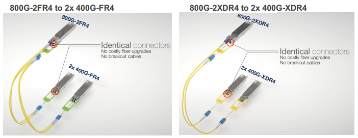 FAQs About Walsun 800G Transceivers