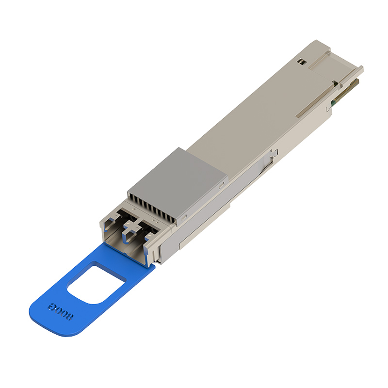 1018-800G-QDD-2xLR4(2CS)背面