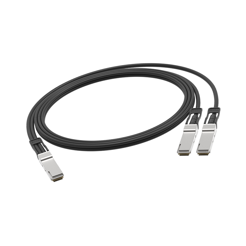 3048-200G-QSFP56 To 2x100G-QSFP56-DAC -xxM