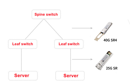 What Are the Advantages and Solutions for 25G-100G Spine-Leaf Network Structures