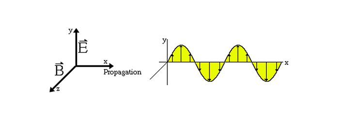 How Does PM (Polarization Maintaining) Fiber Work and What Are Its Applications?