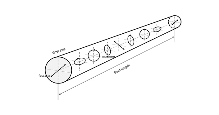 How Does PM (Polarization Maintaining) Fiber Work and What Are Its Applications?
