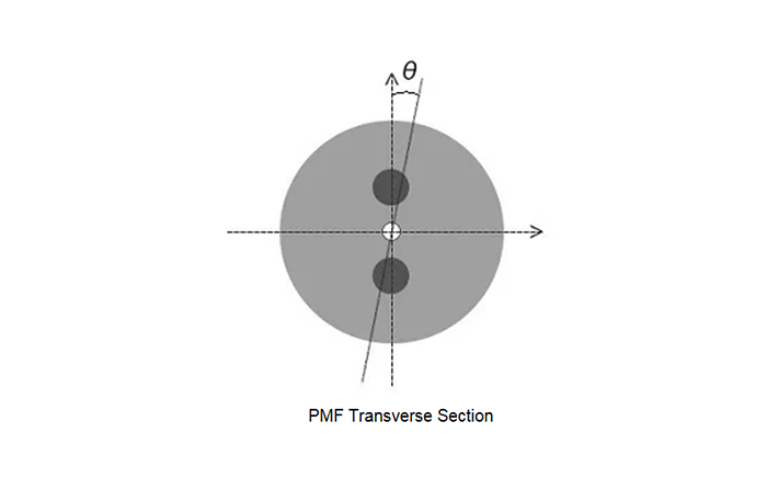 How Does PM (Polarization Maintaining) Fiber Work and What Are Its Applications?